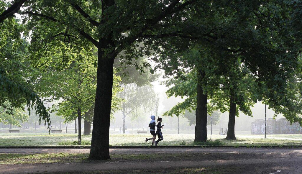 People doing exercise in nature as a part of living a healthy life.