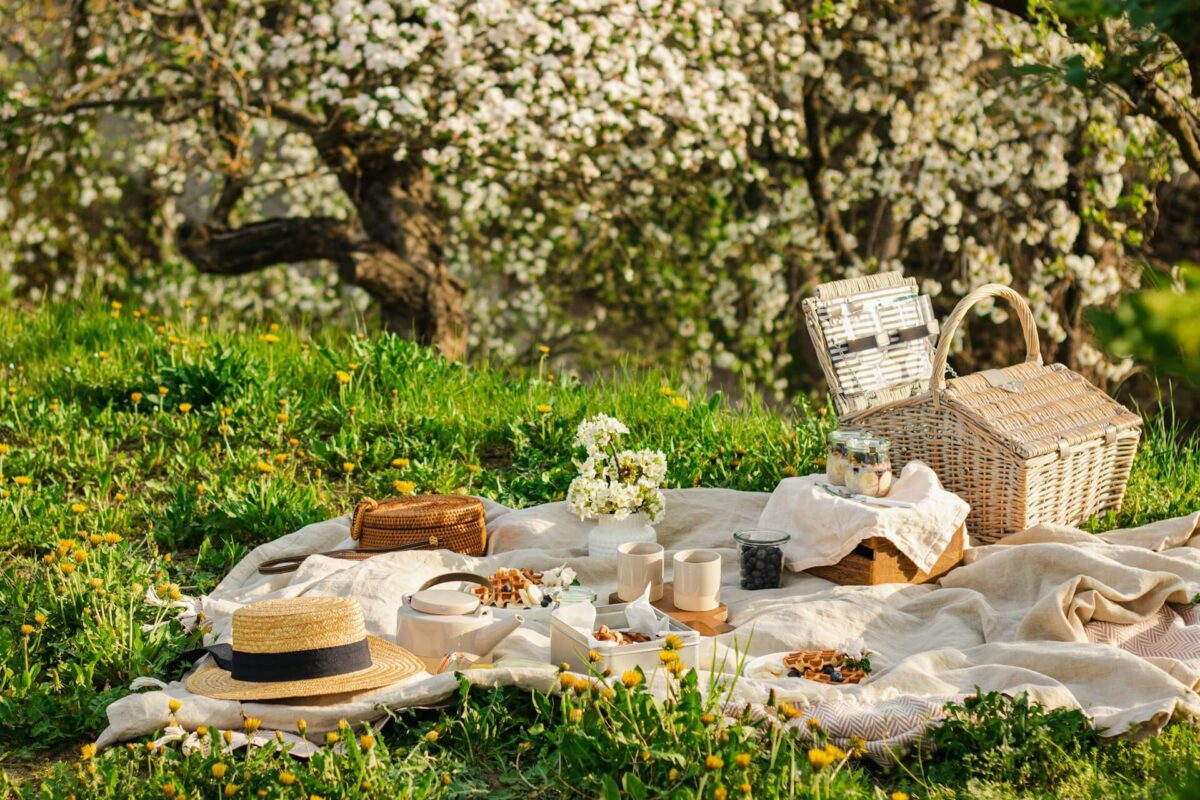 Picnicking in spring, representing one of the best spring activities for adults.