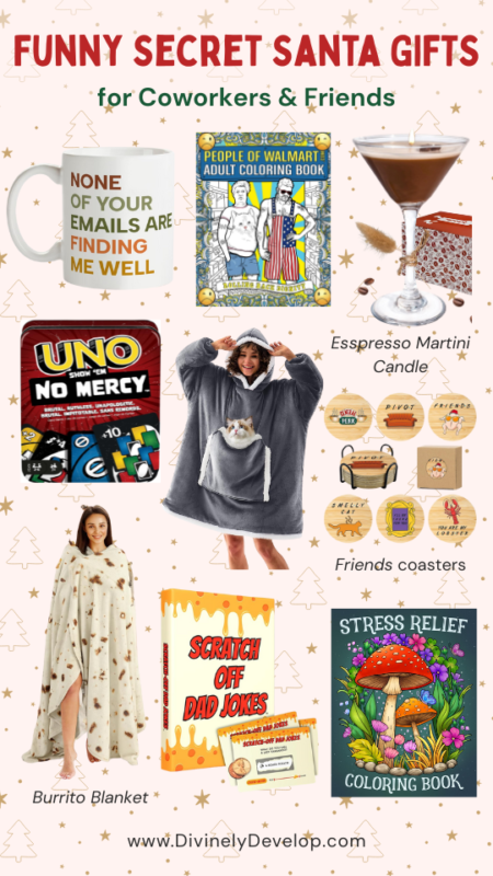 Funny Secret Santa Gifts for coworkers and friends.